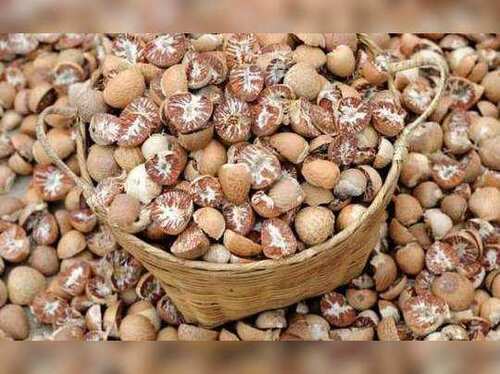 100 Percent Pure Organic Sun Dried Half Betel Nut