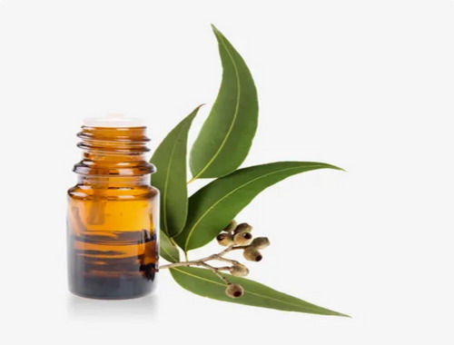 A Grade 100% Pure And Natural Eucalyptus Oil