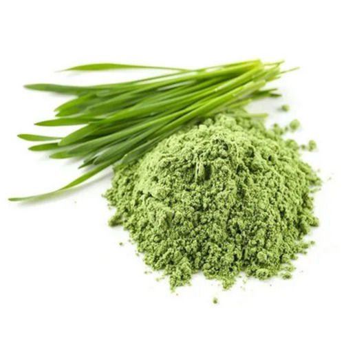 A Grade 100% Pure And Natural Wheatgrass Powder