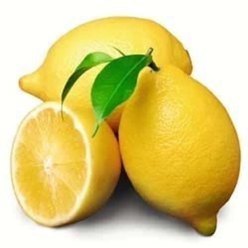 Fresh Lemon For Beverage And Pickles Use