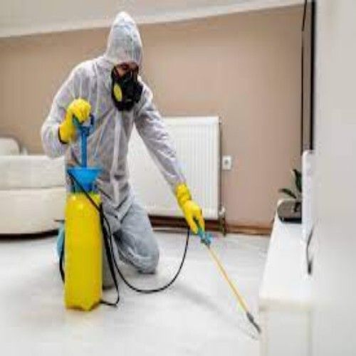 Pest Control Service Solution In Uttar Pradesh