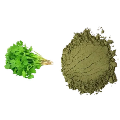 A Grade 100% Pure And Natural Dried Coriander Powder