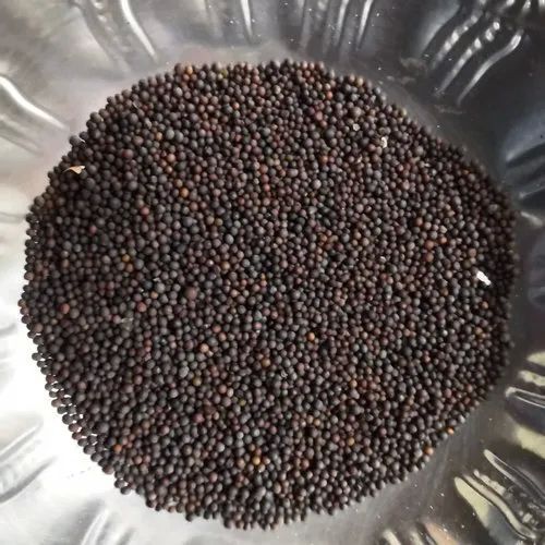 Black Mustard Seeds