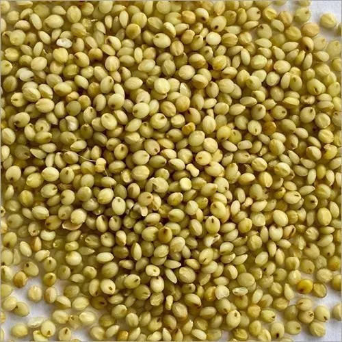 Brown top Millet 