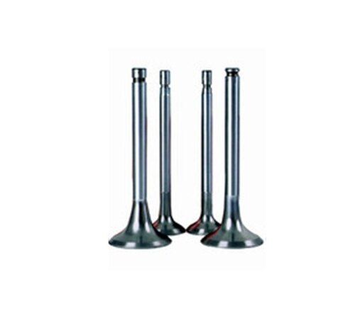 Stainless Steel Diesel Engine Valve