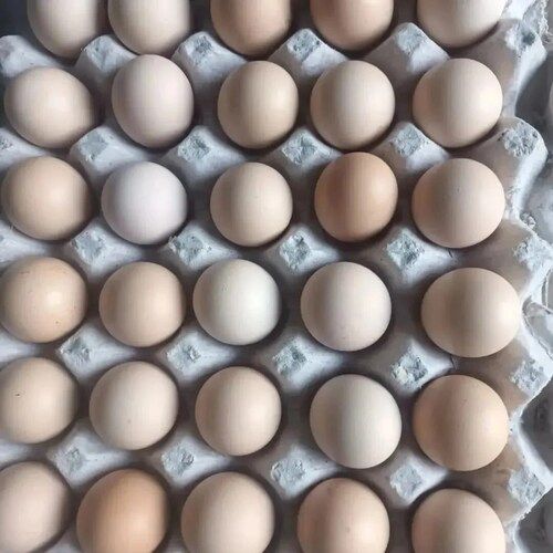 भूरा अंडा