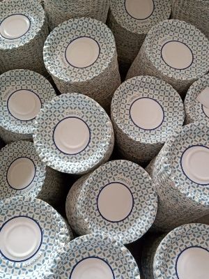 Printed Disposable Paper Plates