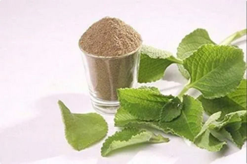 A Grade 100% Pure And Natural Ajwain Leaf Herbal Powder Ingredients: Herbs