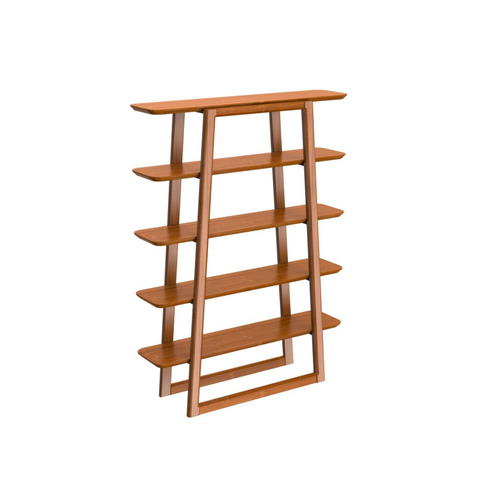 Wood Caramelized Franklin Etagere Bookcase