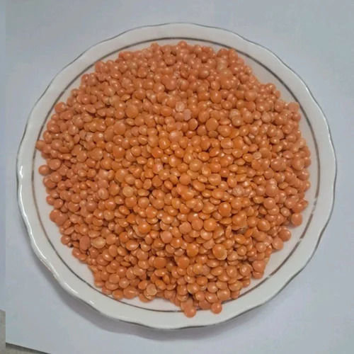 Red Polished Masoor Dal For Cooking Use