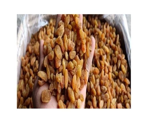 Healthy And Nutritious Organic Cultivated Sweet Taste Kjf14 Brown Raisins