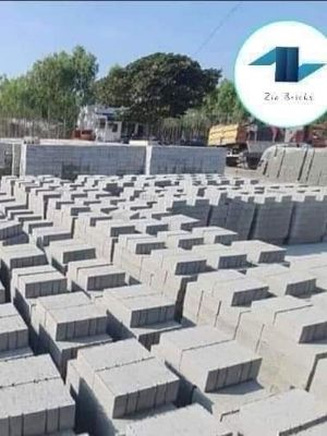 flyash bricks