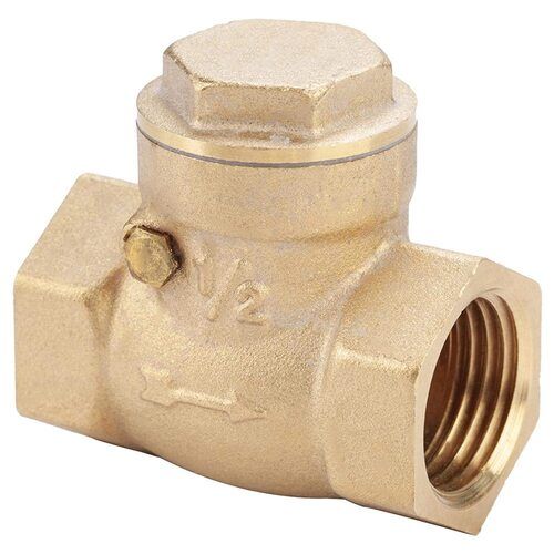 Industrial Check Valve