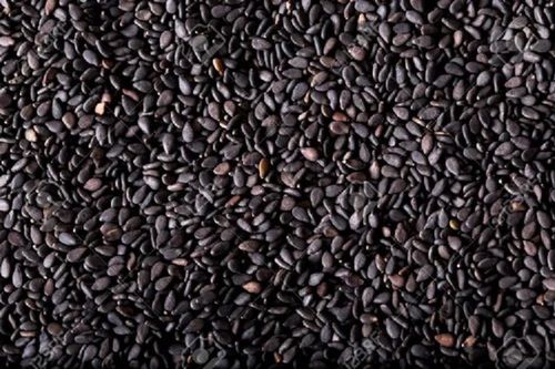 Premium Quality Black Sesame Seed