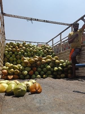 Good For Health Green Coconut