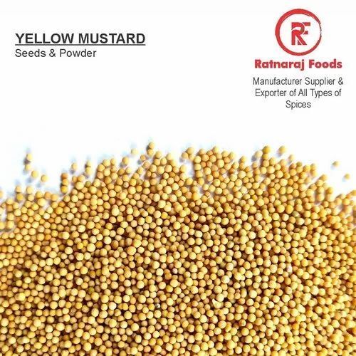 High Quality Yellow Mustard Seeds