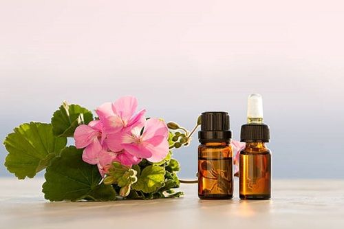 Natural Herbs Geranium Aroma Oil For Massage And Diffusion