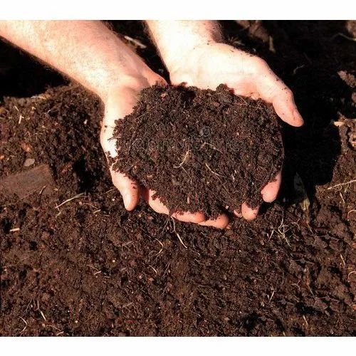 Organic Compost Fertilizer For Agriculture Use