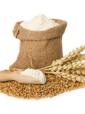 wheat flour mill