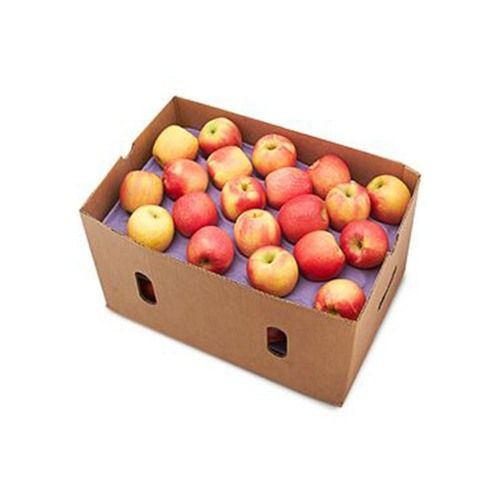 https://tiimg.tistatic.com/fp/1/008/509/natural-and-fresh-organic-healthy-round-shape-apple--206.jpg