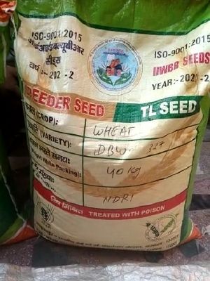 whole wheat seeds