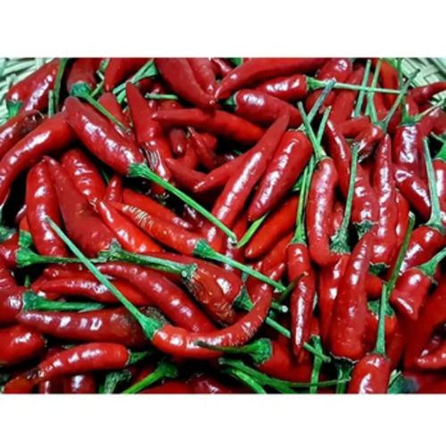 A Grade 100% Pure Dried Bird Eye Red Chilli