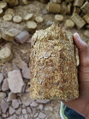 biomass briquette