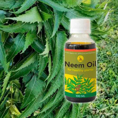 Cold Press Pale Yellow Organic Neem Oil