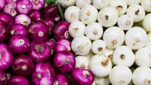 A Grade Indian Origin Commonly Cultivated Fresh White And Red Onions