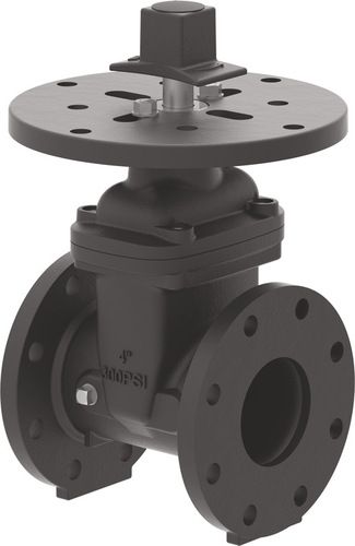 flanged gate valve