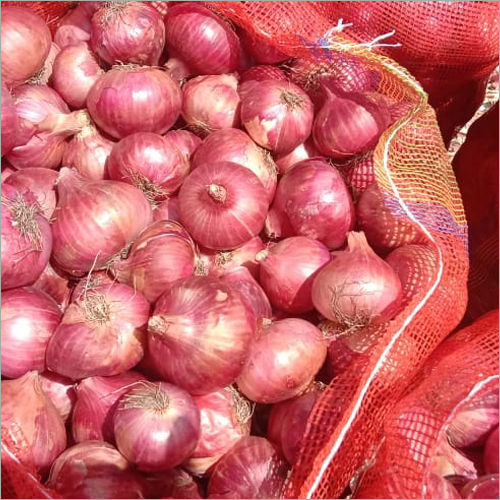Premium Quality Healthy Fresh Onion 