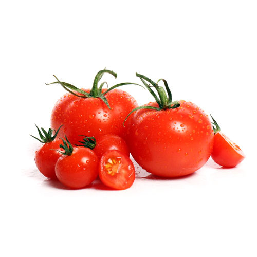 Premium Quality And Healthy Fresh Tomato