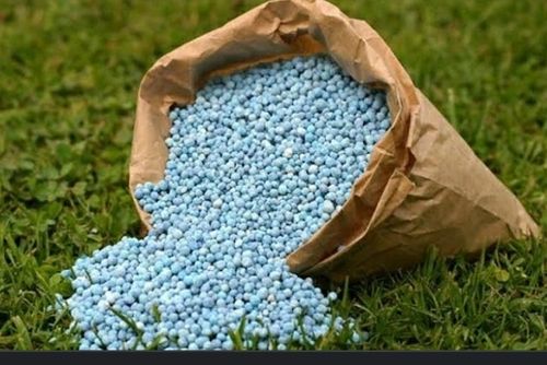 Bio Organic Fertilizers - Granular Form | Organic Agriculture Application, Eco-Friendly Solution