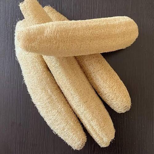 Natural Loofah Body