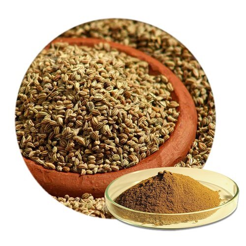 Ajwain Powder at Best Price in Rajkot, Gujarat Shreeji Enterprise