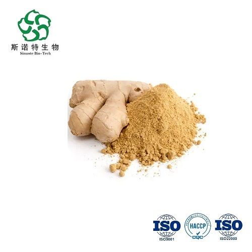 Ginger Extract Gingerols Powder