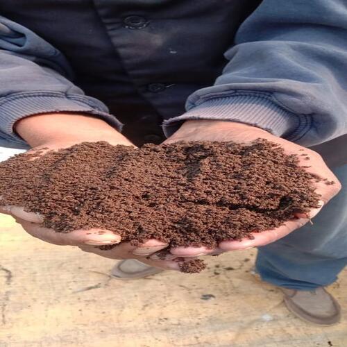 Organic Vermicompost Fertilizer