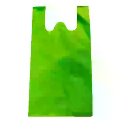 Plain Green W Cut Non Woven Bag For Grocery Use