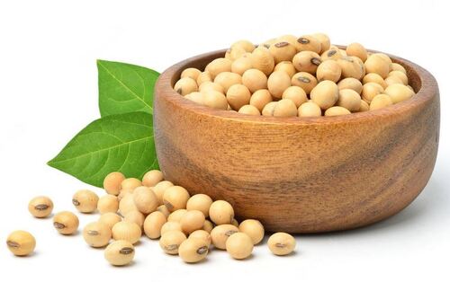 Natural And Healthy 100 % Pure Soya Bean 