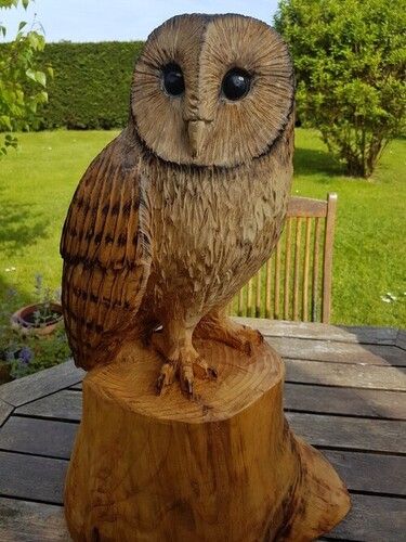 Wood Owl