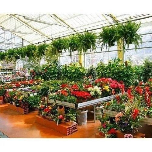 Well Watered Organic Flowering Plant Nursery
