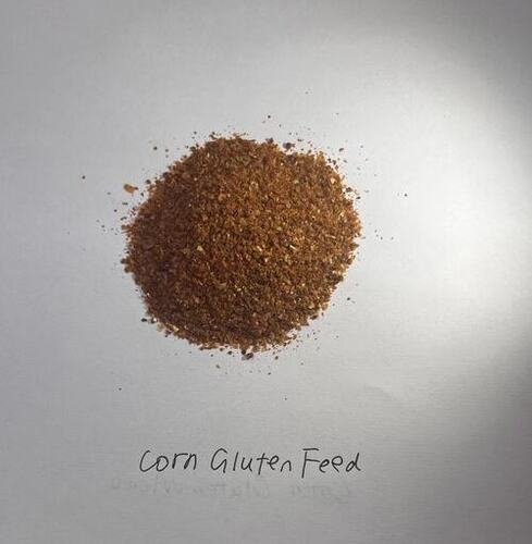 Corn gluten feed