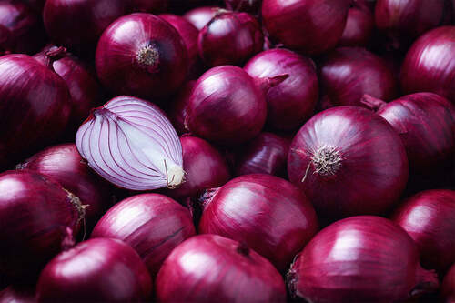 100% Organic And Natural Farm Fresh A Grade Red Onion