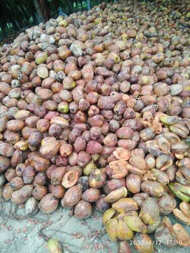 fresh coconut