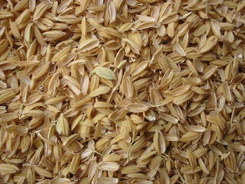 Organic Dried Brown Rice Husk