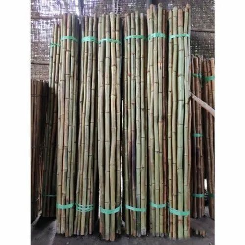 Brown Round 10feet Shuttering Bamboo Pole