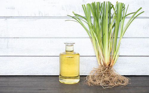 Vetiver Oil For Aromatherapy And Fine Cosmetics