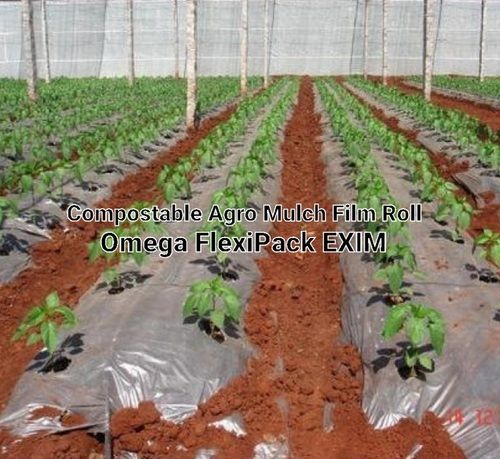 Silver Compostable Agro Mulch Film