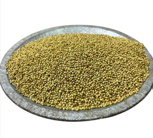 Natural And Pure Organic Coriander - Natural Seed Form, Green Color, Light Brown Dried Texture | 2-year Shelf Life, Ideal For Cooking