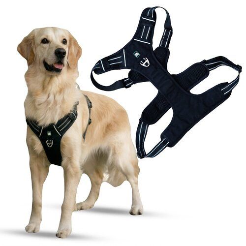 Puppy Dog Safety Harness